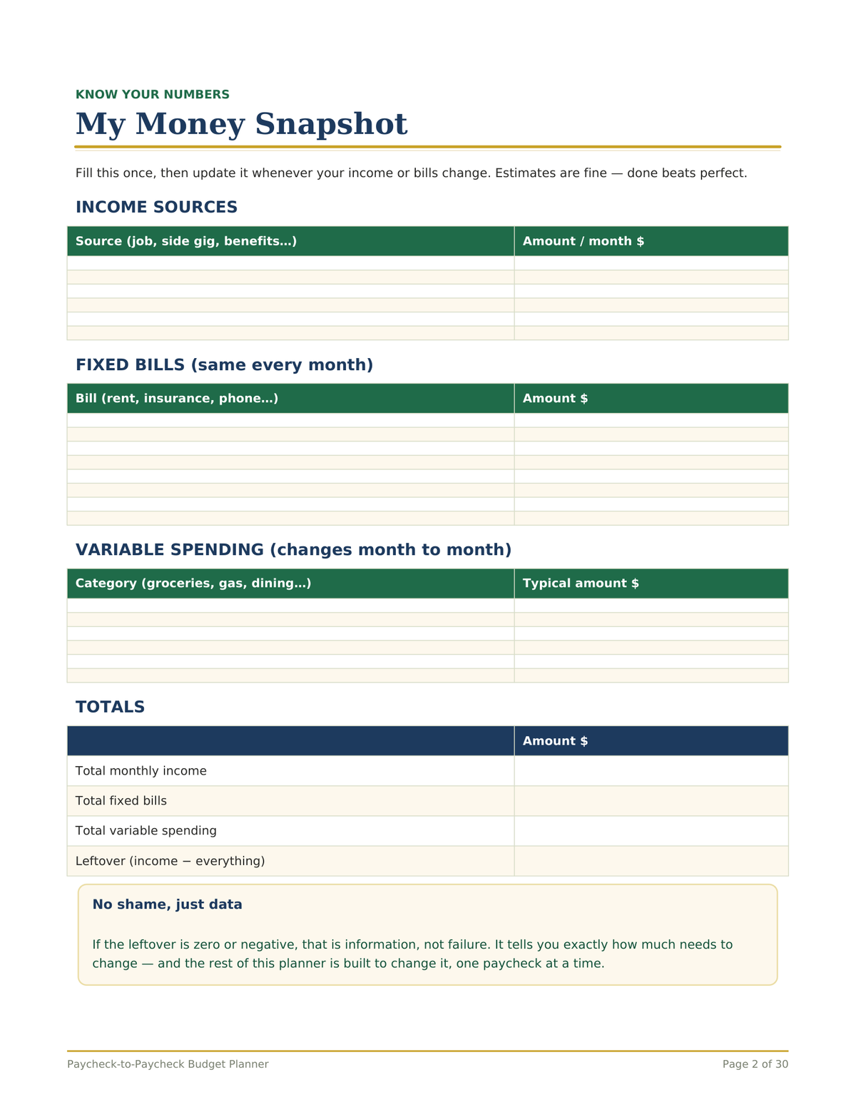 Paycheck Budget Planner, Paycheck to Paycheck Budgeting Workbook, Bill Calendar, Debt Snowball Tracker, Printable PDF